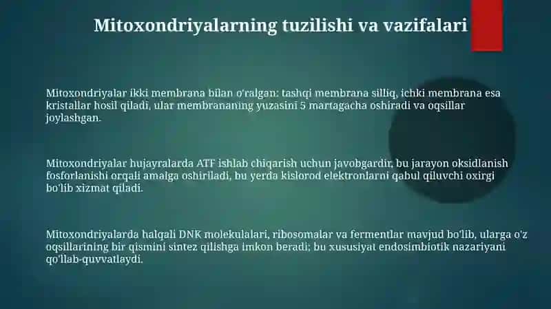 Mitoxondriyalar va Plastidalar: Tuzilishi, Vazifalari va Kelib Chiqishi 3