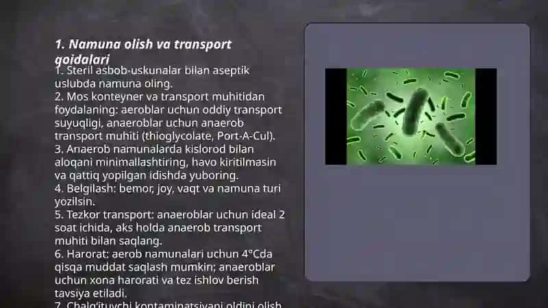 Aerob va anaerob bakteriyalarni sof hosilasini ajratish bosqichlari 3