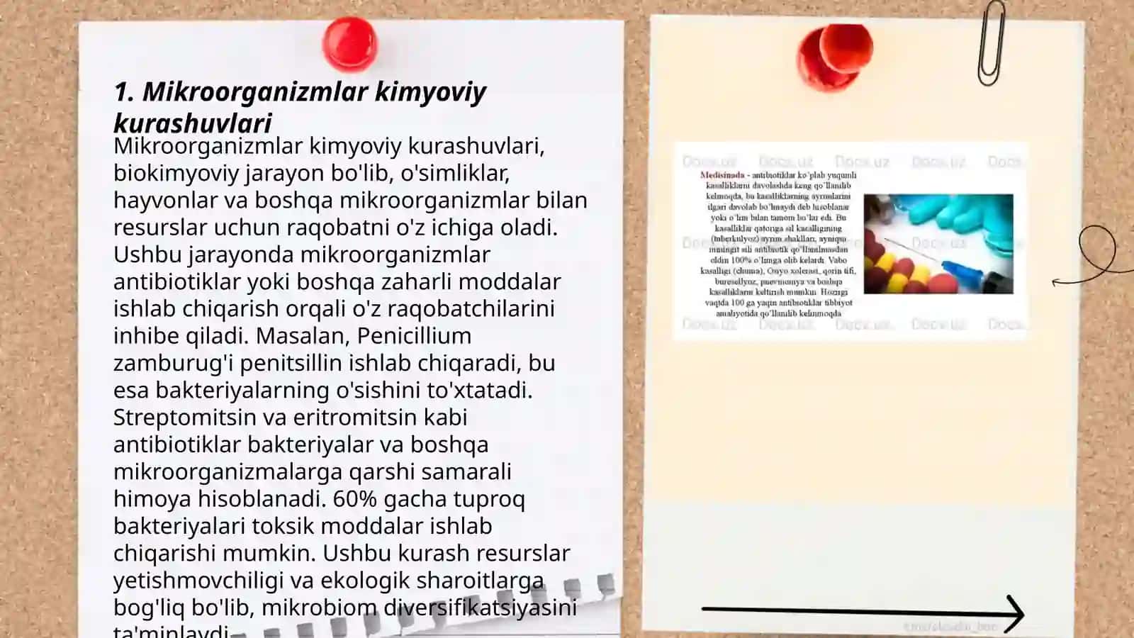 Mikroorganizmlar orasida antibiotik hosil qiluvchilar 3