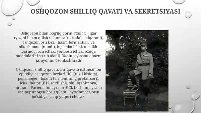 Qizilo'ngach,qorin bo'shlig'i a'zolari haqida umumiy ma'lumot 3