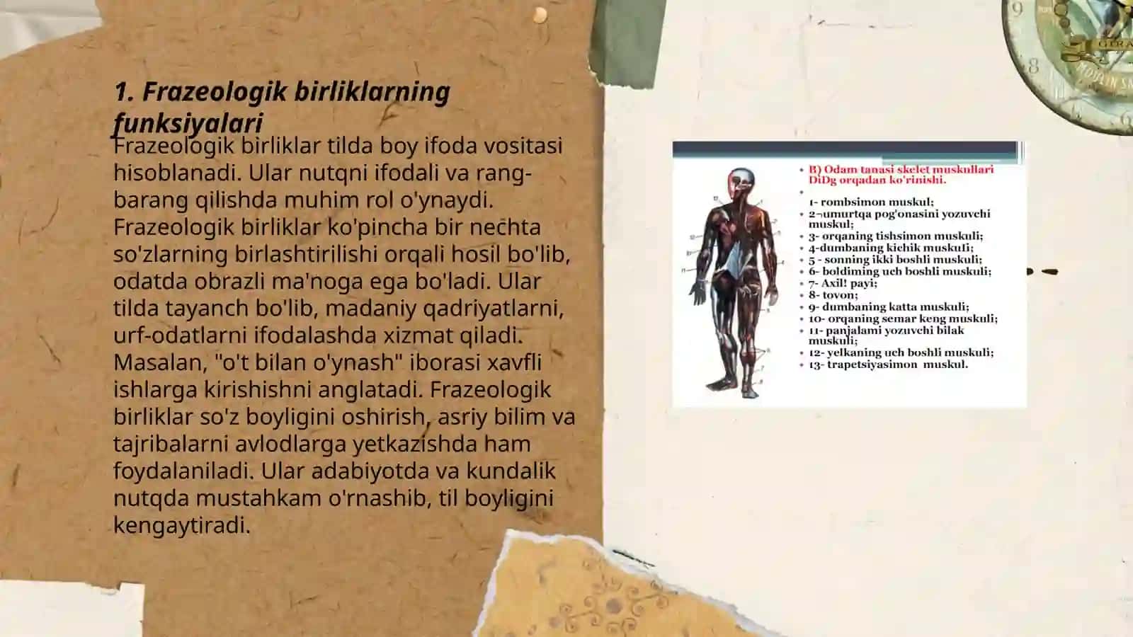 Frazemalarning ishlatilishiga koʻra tavsifi 3