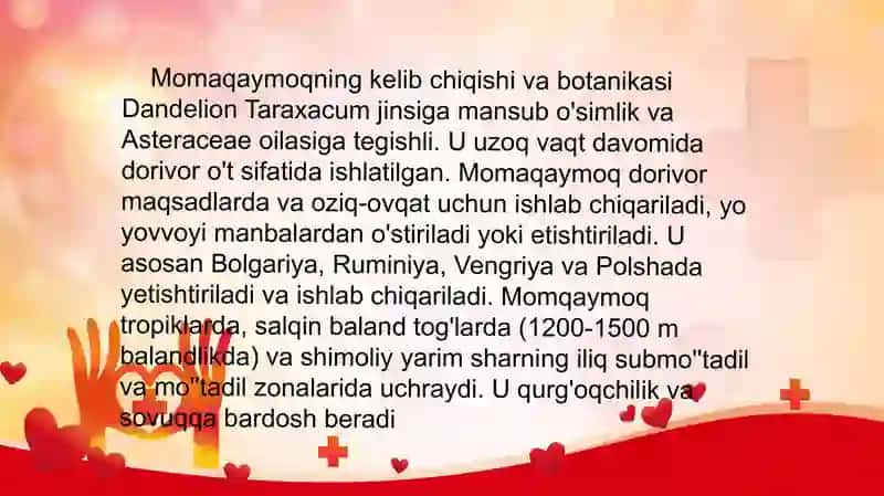 Momaqaymoq 3