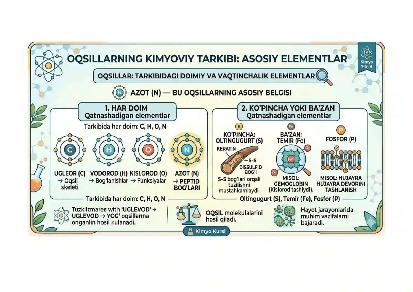Oqsillar. Yog'lar. Uglevodlar Ko'rgazmali materiallar 3