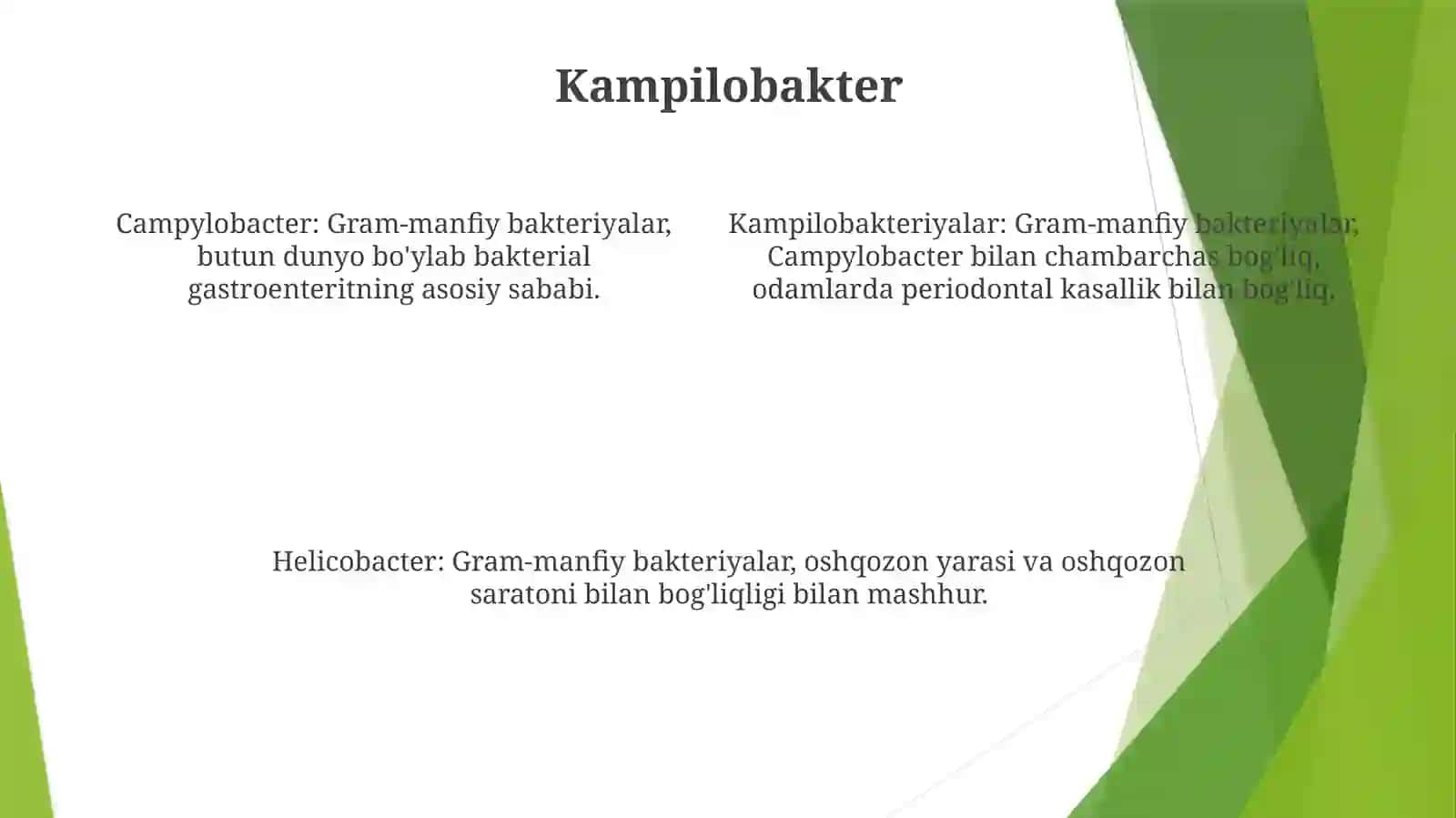 Kampilobakteriyalar, Xelikobakteriyalar Va Ularning Amaliyotdagi Ahamiyati 3