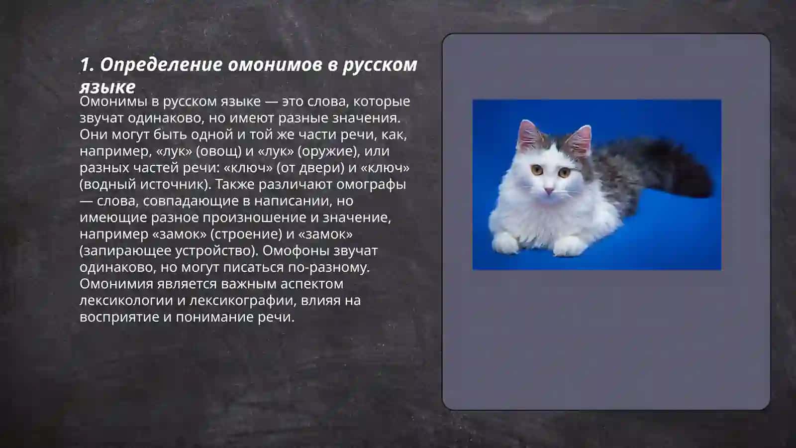 Омонимы синонимы антонимы 3