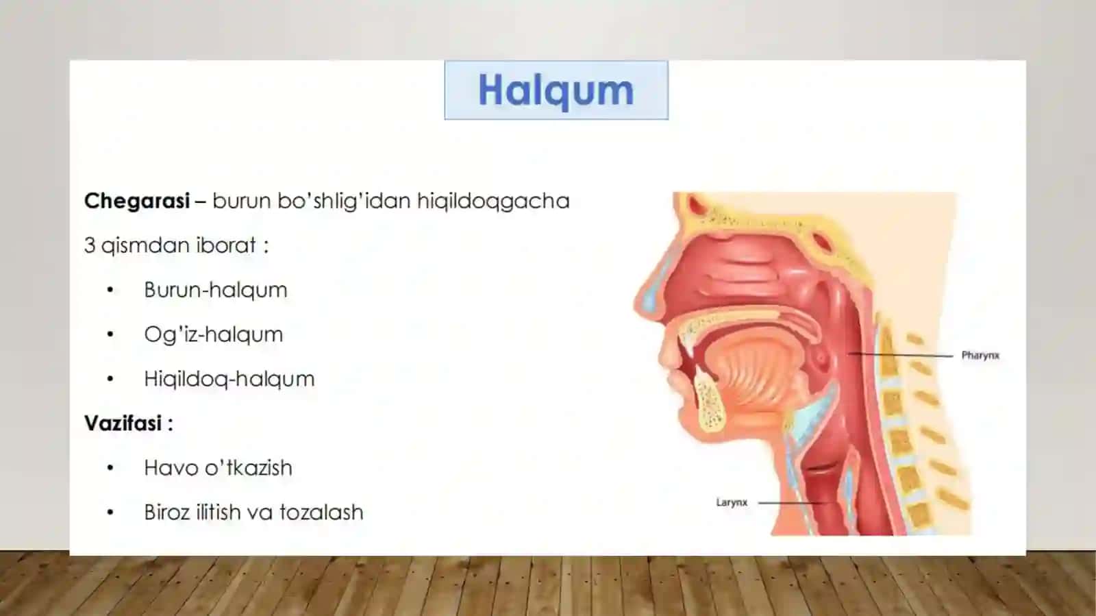 NAFAS OLISH TIZIMI FIZIOLOGIYASI 3