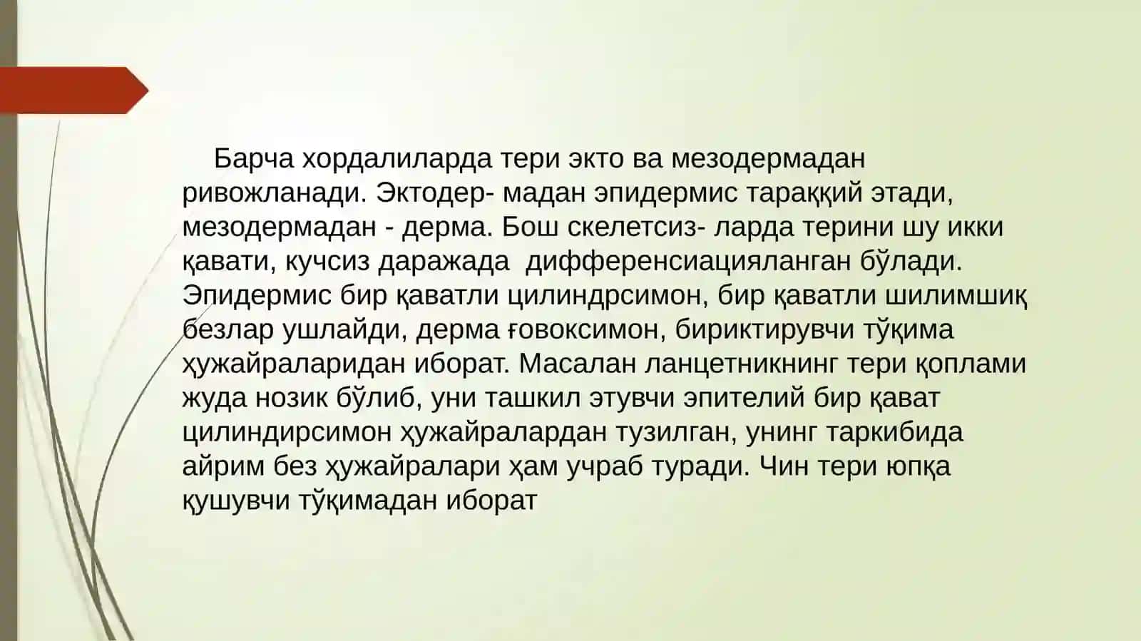 Qoplovchiva Tayanch harakat tizimi ontofilogenezi 3