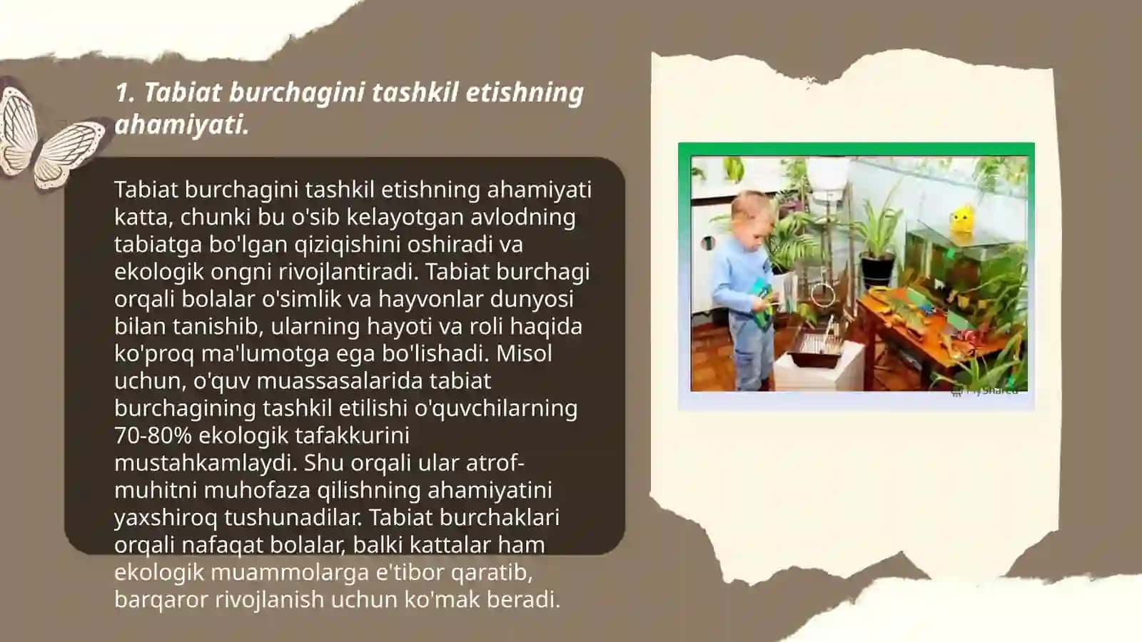 Tabiat burchagini tashkil etish 3