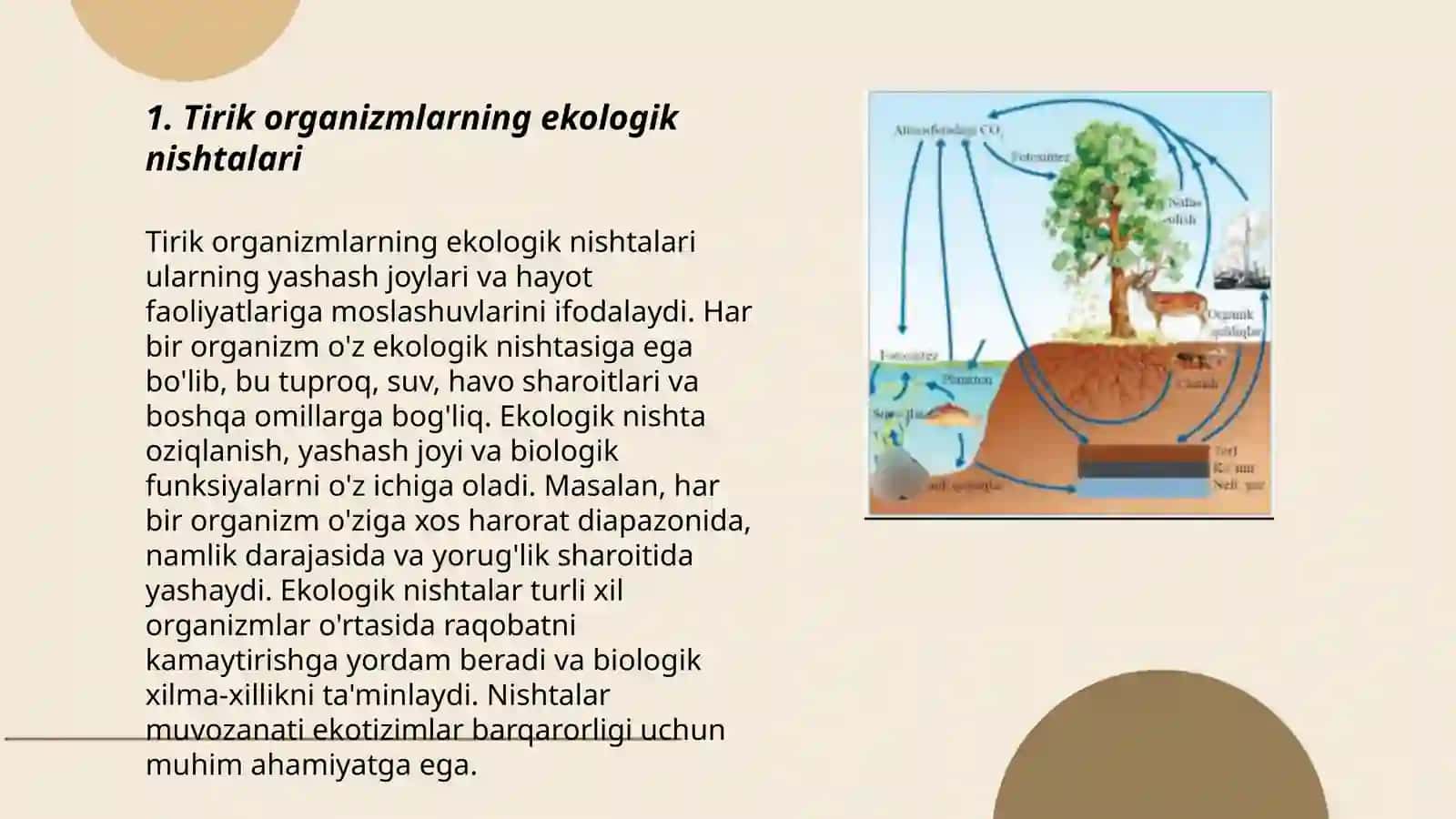 Tirik organizmlarning ekologik nishtalari 3