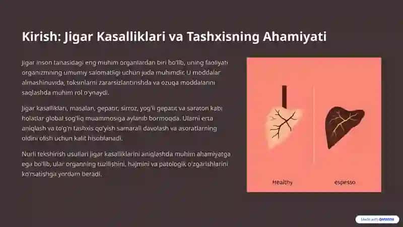 Jigar Kasalliklarini Nurli Tekshirish Usullari 3