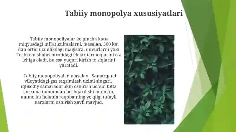 Monopoliyalarning turlari 3