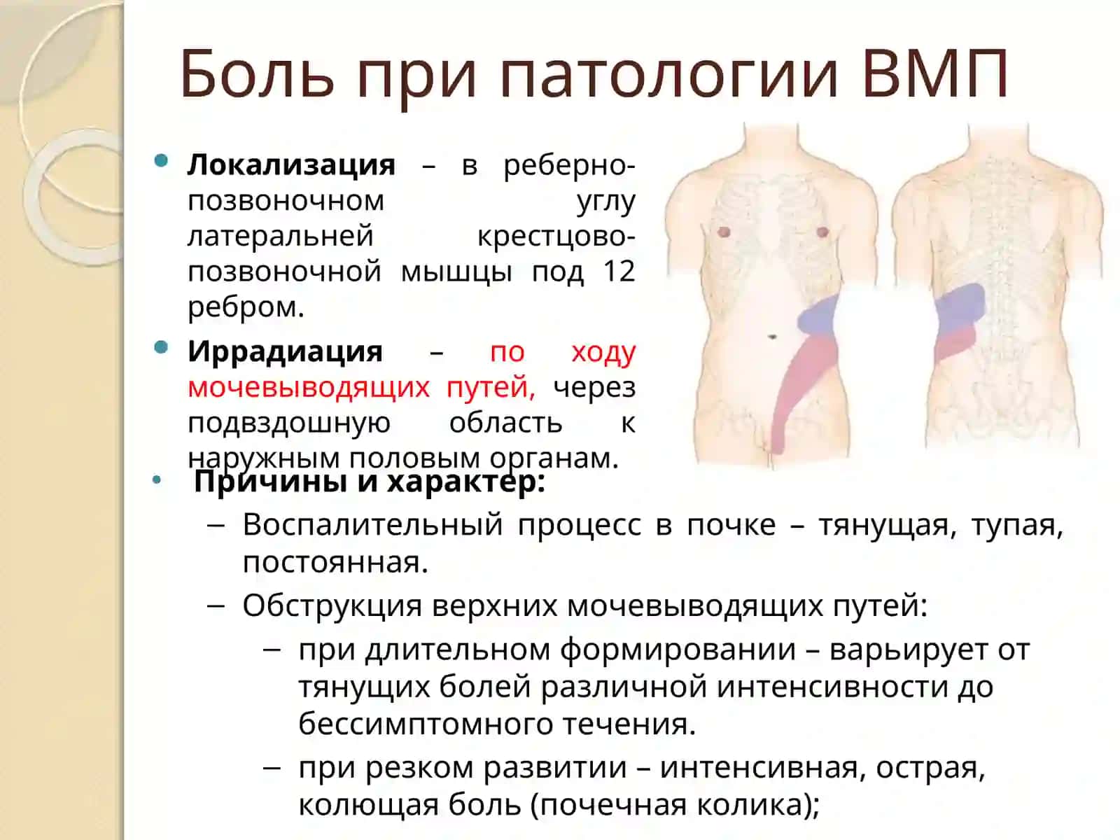 Семиотика урологических заболеваний. Методы обследования урологических больных 3