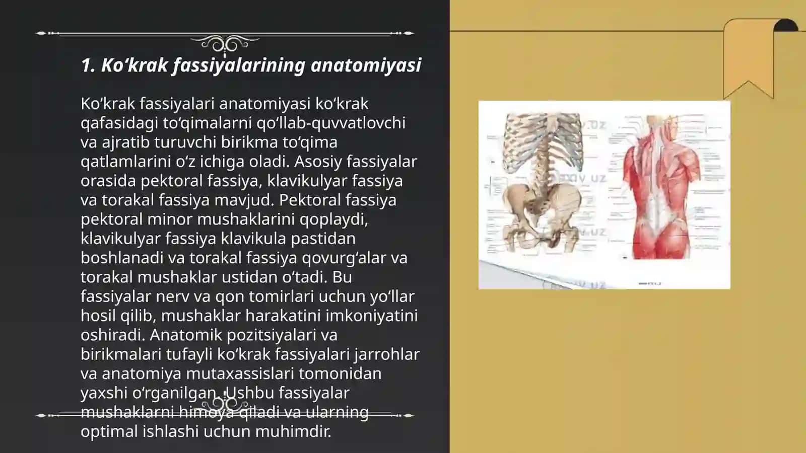 Ko‘krak va qorin fassiyalari,ularning klinik ahamiyati 3