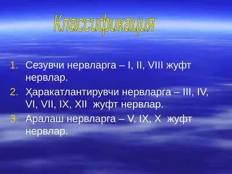 Бош мия нервлари 3