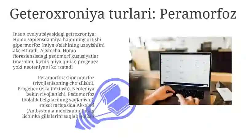 Geteroxronik O'sish va Rivojlanish bo'yicha Amaliy Tadqiqotlar 3