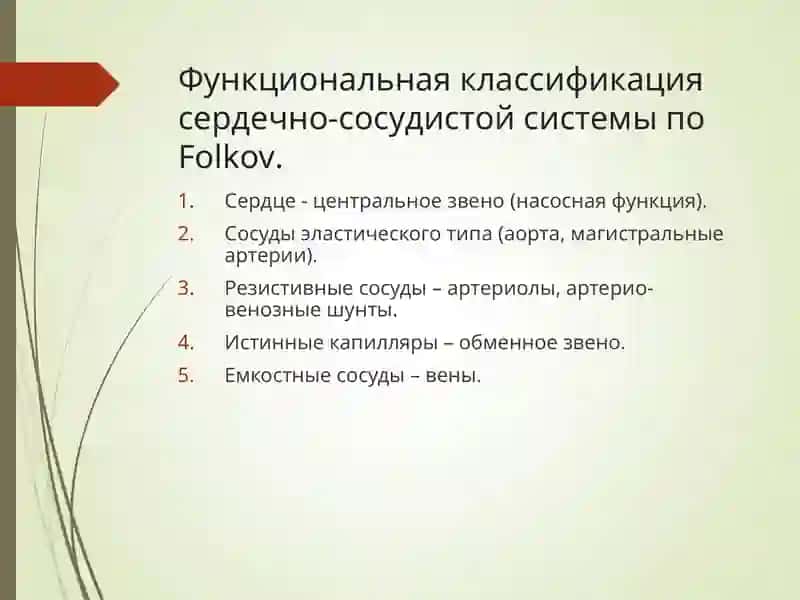Патофизиология сердечной недостаточности 3
