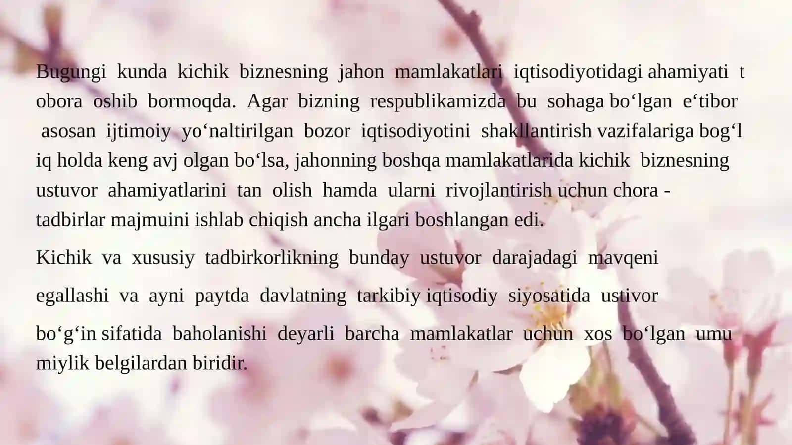 Tadbirkorlikni rivojlantirishning xorijiy tajribalari 3