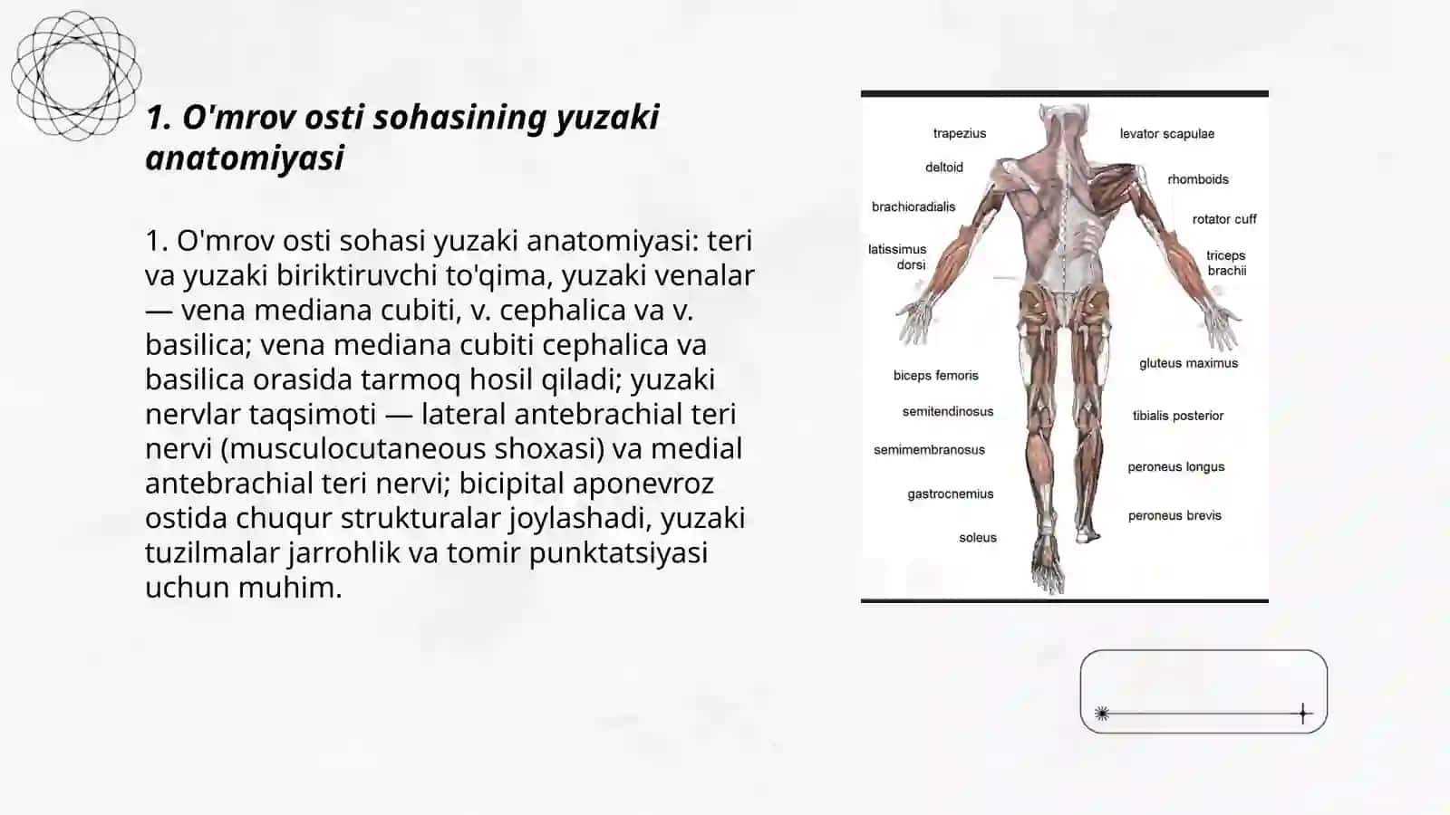 Qõl topografiyasi.Õmrov osti sohasi 3