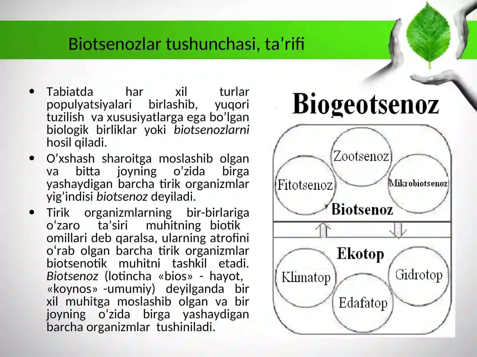 Biotsenoz va ekosistemalar haqida tushuncha 3