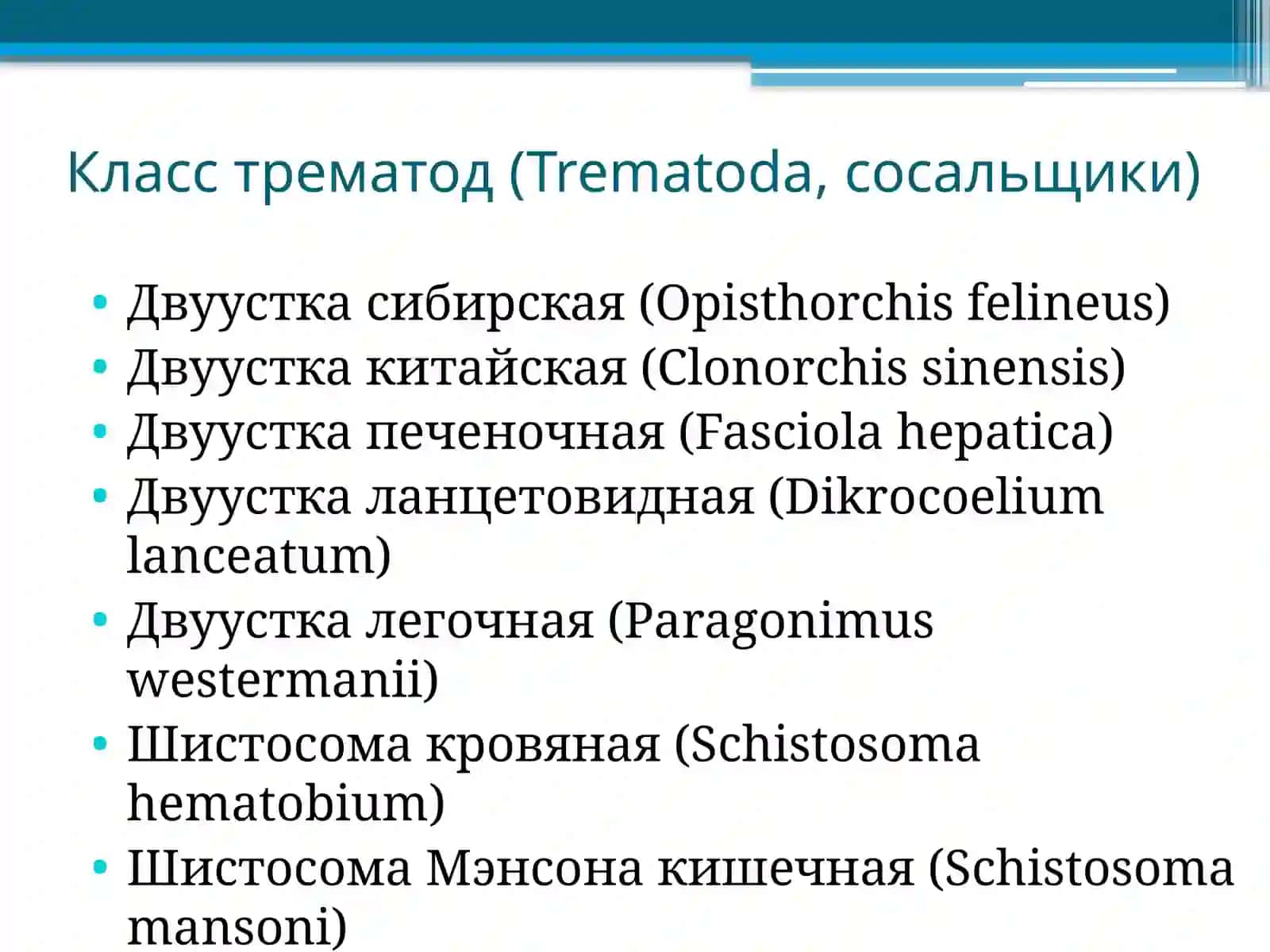 Жизненный цикл трематод 3