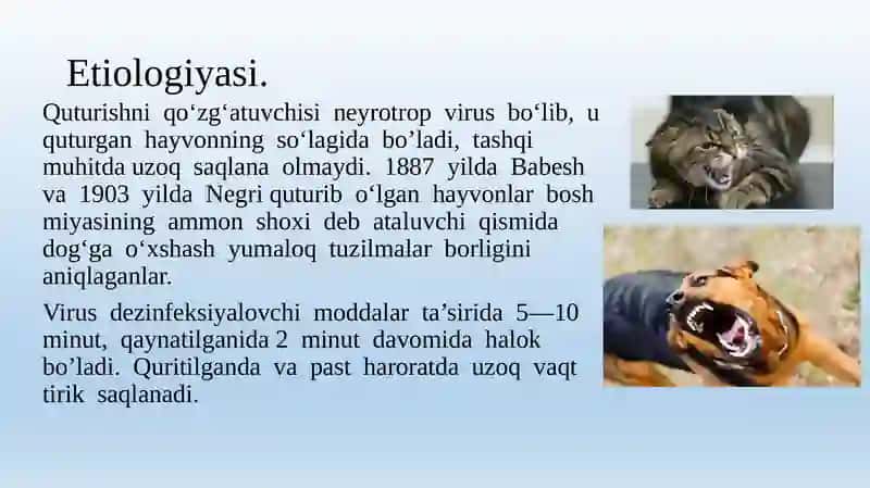 Jaroxat infeksiyalari 3