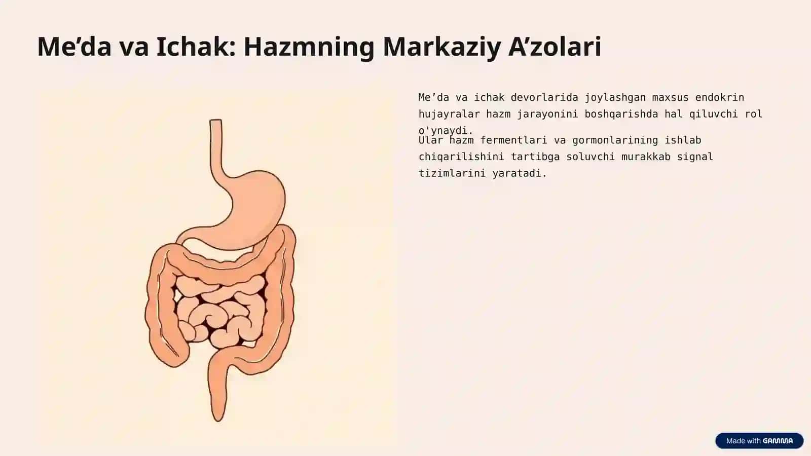 Hazmlanish Jarayonining Endokrin Boshqaruvi va Me’da-Ichak Nayining Endokrin Hujayralari 3