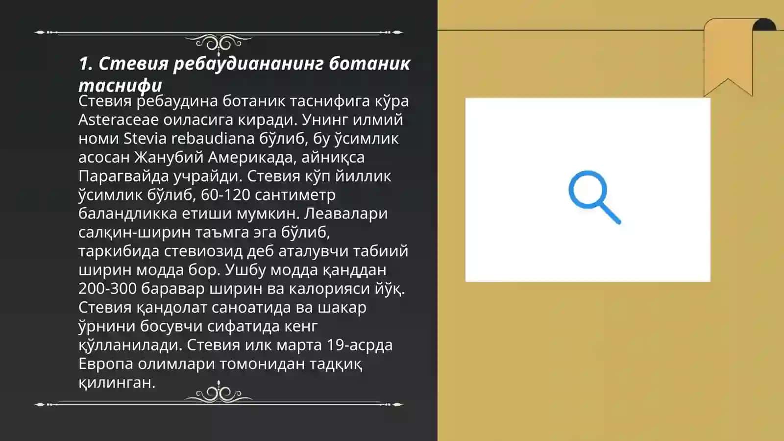 Rebaudian steviya (Стевия ребаудиана) 3