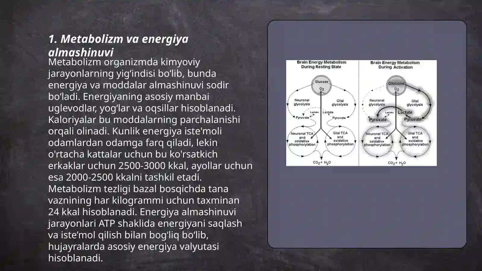 Metabolizm va energiya o'rtasida o'zaro bog'liqlik 3