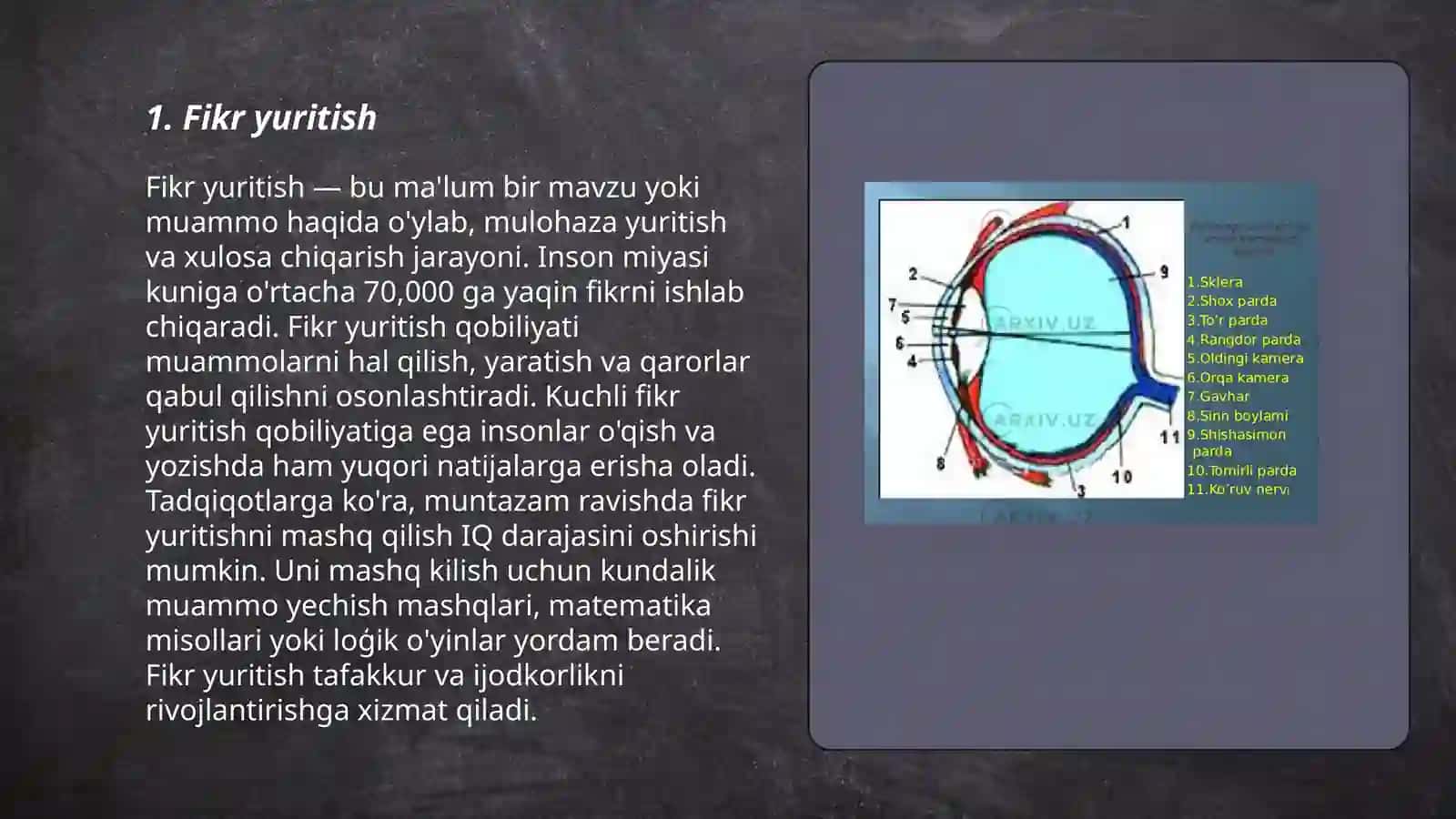 Fikr yuritish 3