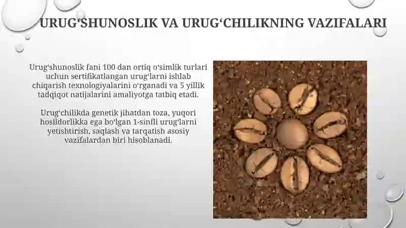 Urug'shunoslik VA urug'chilikning vazifalari hamda uni tashkil etish 3