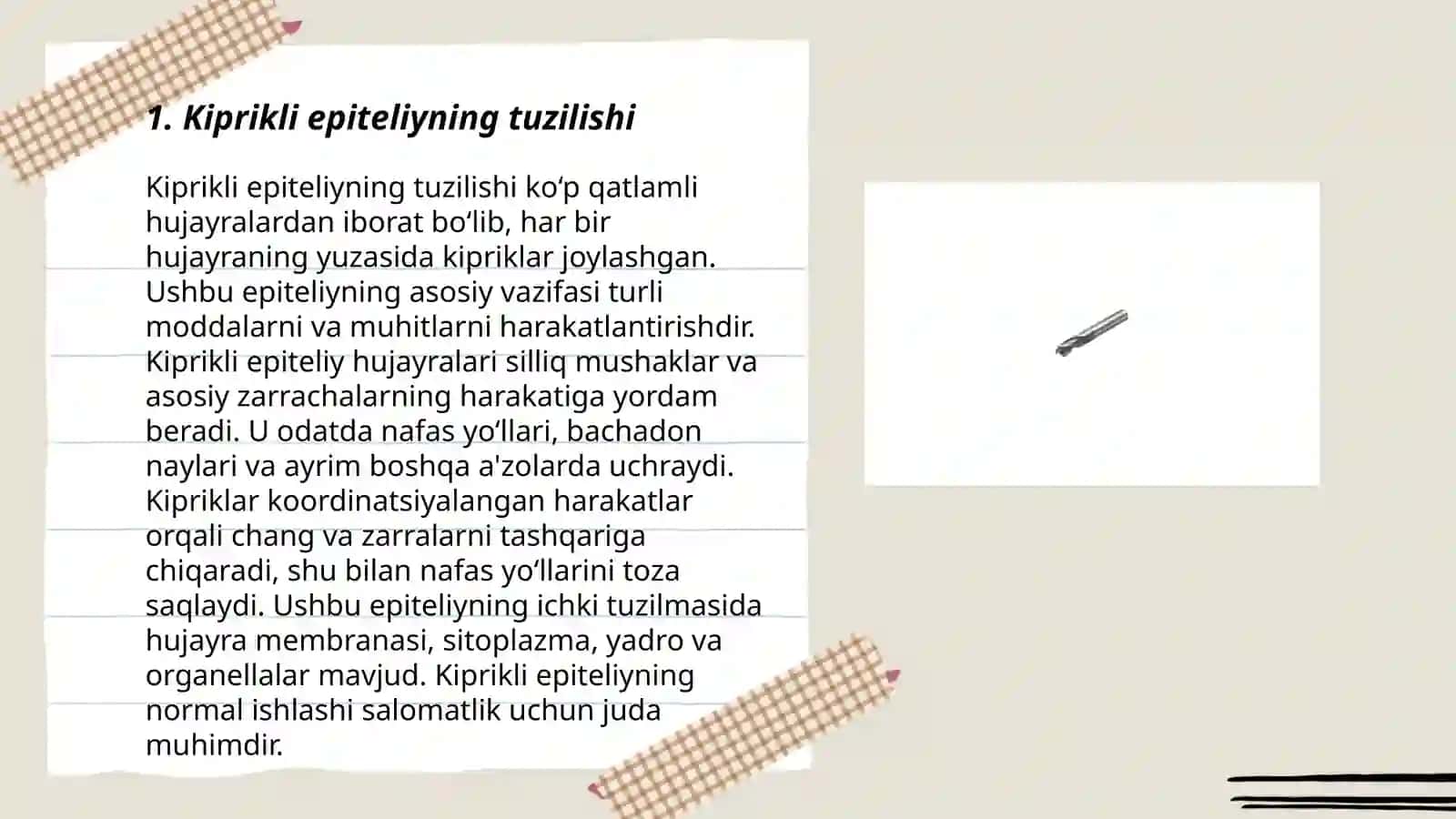Bir qavatli koʻp qatorli silindrsimon kiprikli epiteliy Bermen metodidan foydalanib nemotodalarni ajratib olish 3
