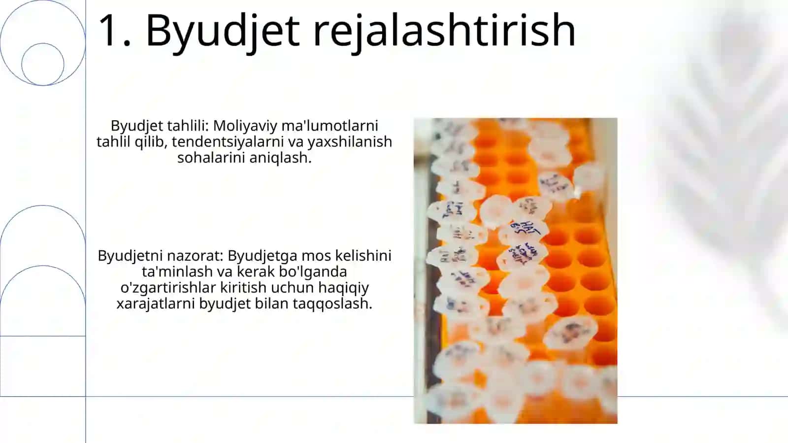 Budjetni rejalashtirish, tahlil qilish va kuzatib borish 3