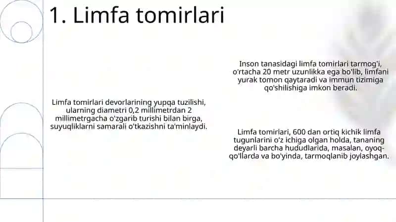 Ayirish tizimiga kiruvchi azolarning tuzilishi fiziologiyasi 3
