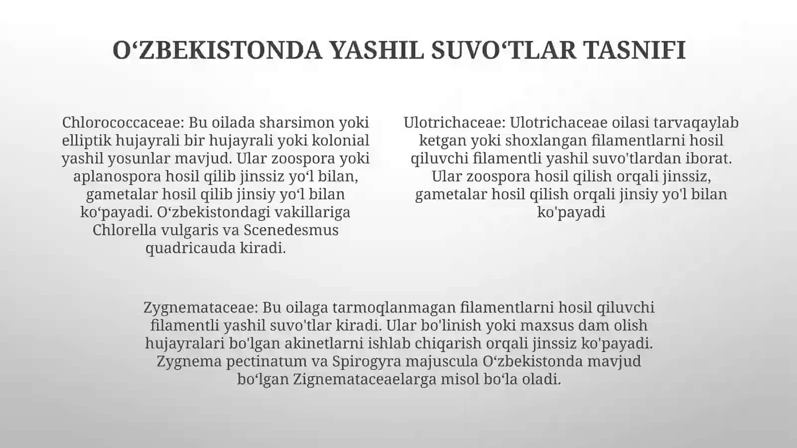Yashil Suvo'Tlar Bo'Limining O'Zbekistonda Tarqalgan Turlari Va Ularning O'Ziga XosXususiyatlari 3