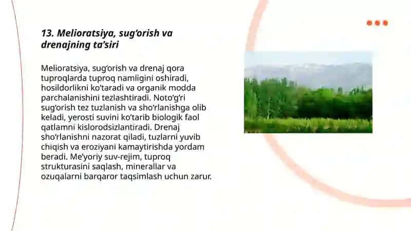 O'rmon-dasht va dasht mintaqasining qora tuproqlari 3