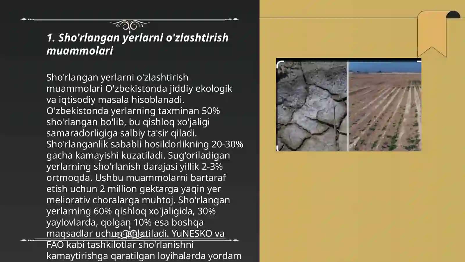 Sho’rlangan yerlardan asosiy sho’ri yuvib bo’ingandan keyin ekiladigan dastlabki o’zlashtirish ekinlarni etishtirish texnologiyasi 3