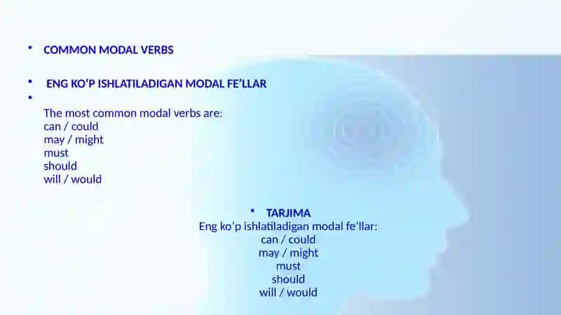Modal Verbs 3
