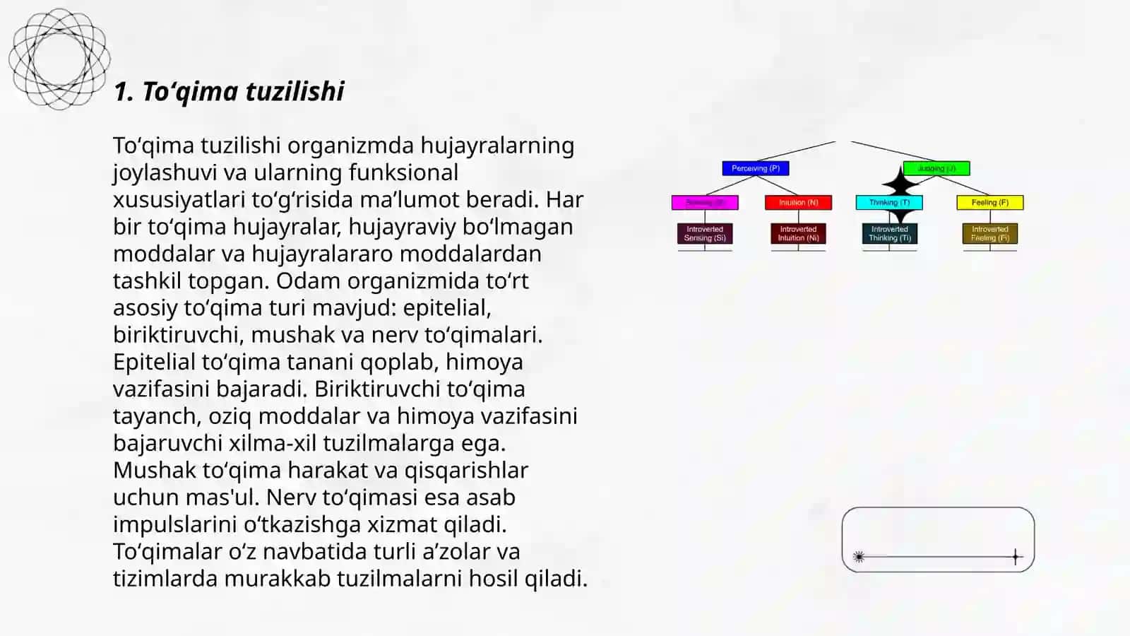 Toʻqima xillari va vazifalari 3