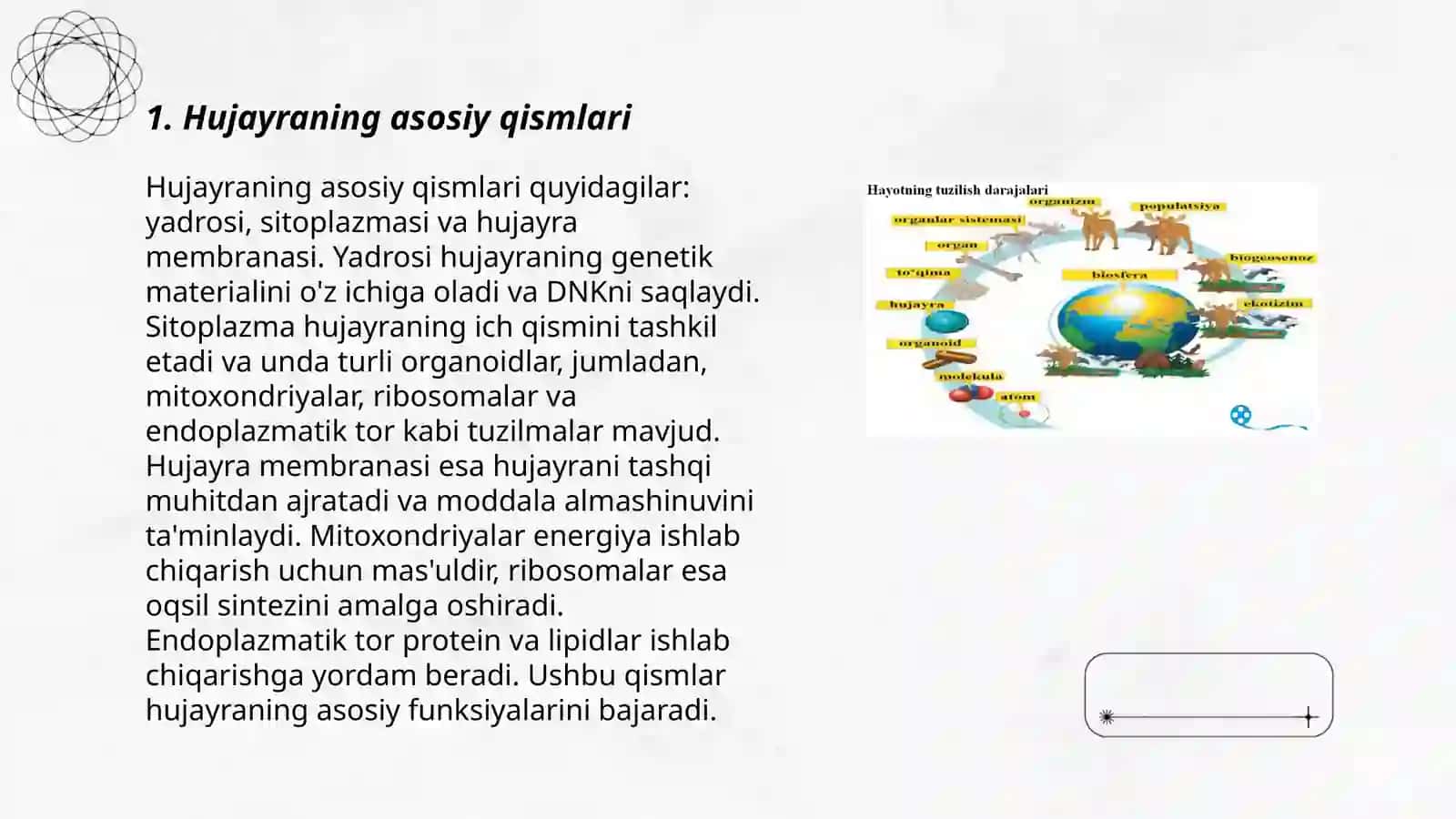 Hayotning hujayraviy tuzilishi 3