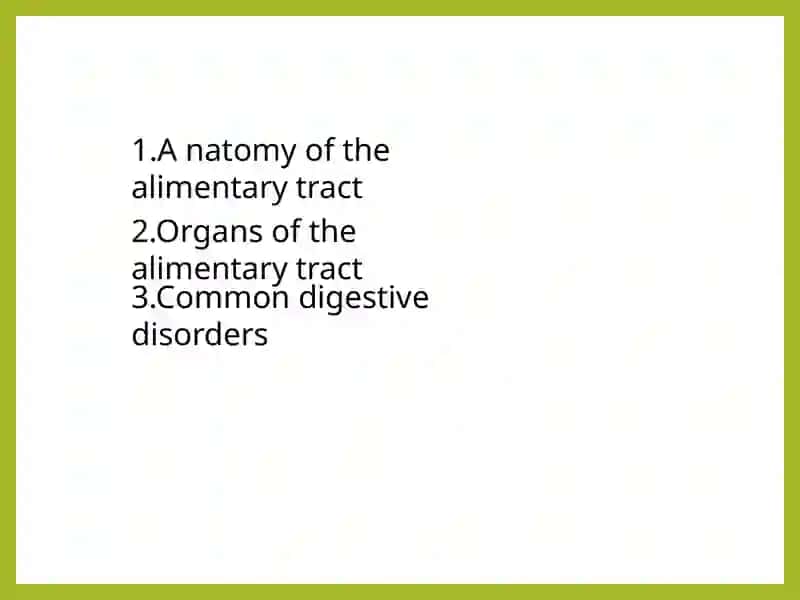 The alimentary tract of a human being 3