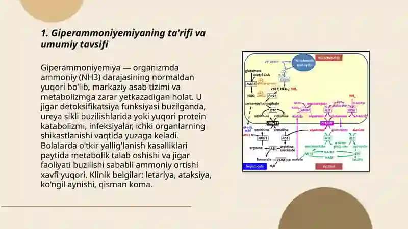 Giperammoniyemiya, uning oqibati va sabablari 3
