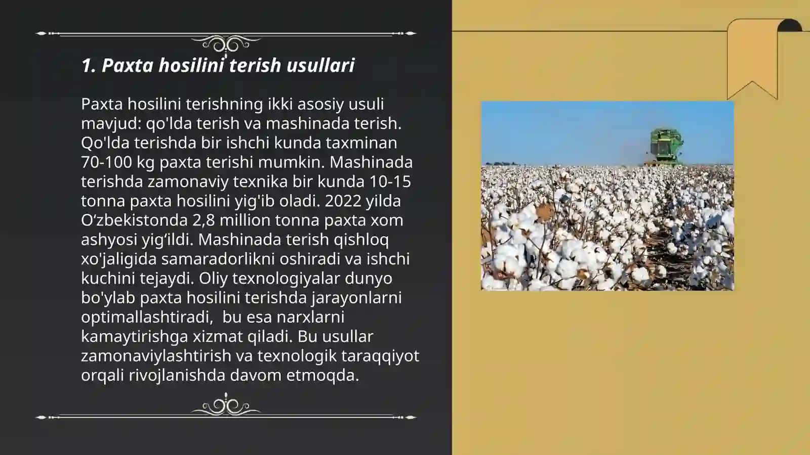 Vertikal shpindelli paxta terish mashinasi 3