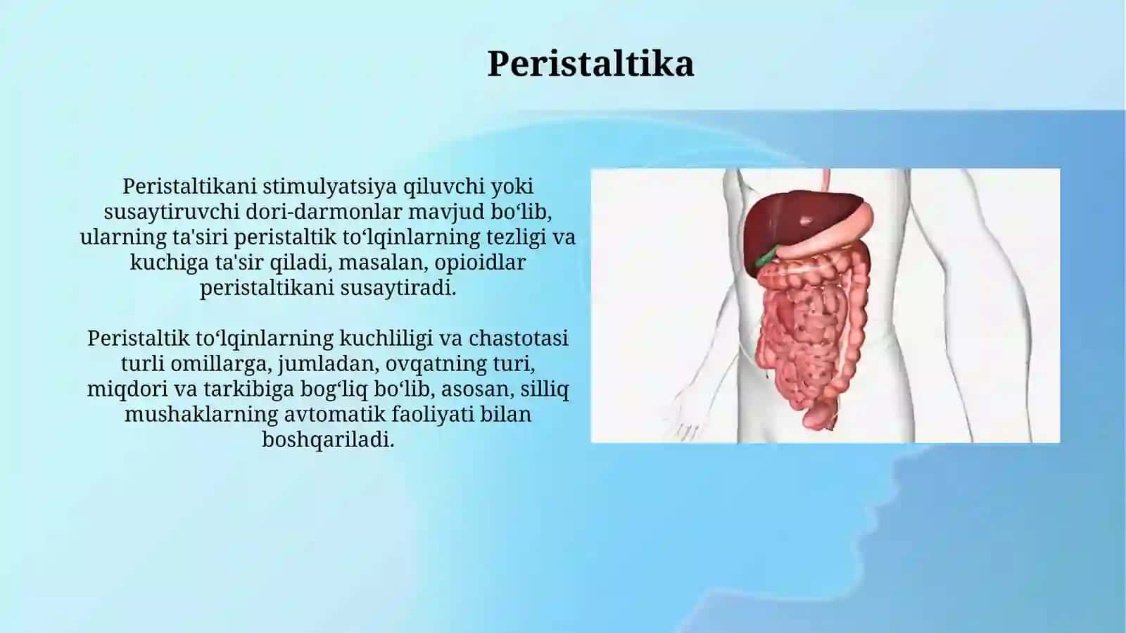 Peristaltika 3