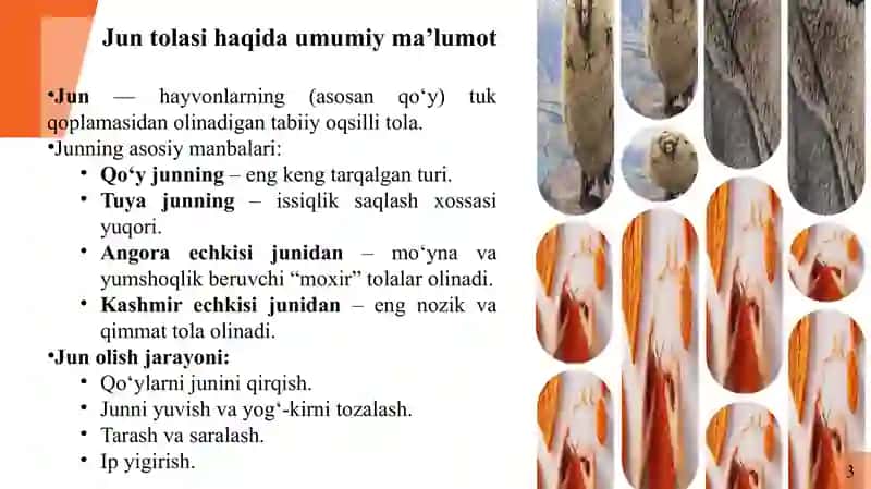 Jun va ipak tolali gazlamalar, ularning olinishi. Jun va ipak tolalarning xossalari 3