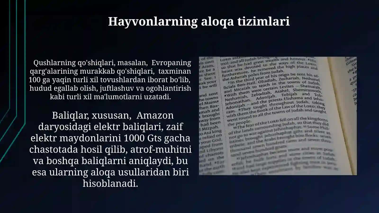 Tilshunoslik fanining obyekti. Tilning paydo bo'lishi 3