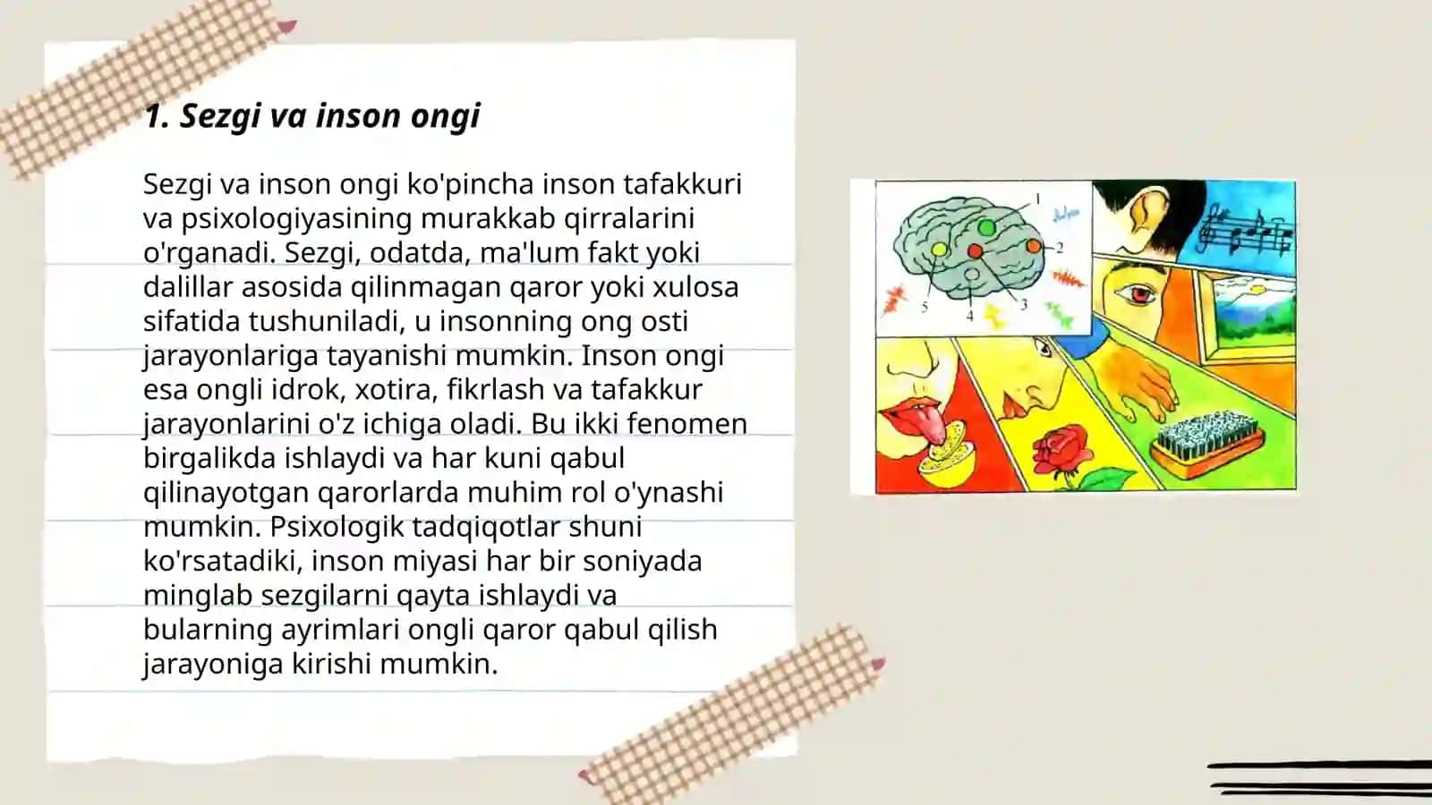 Sezgi 3