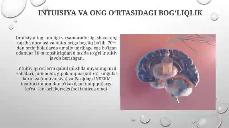 Sezgilar haqida umumiy tushuncha va nerv fiziologik asoslari 3