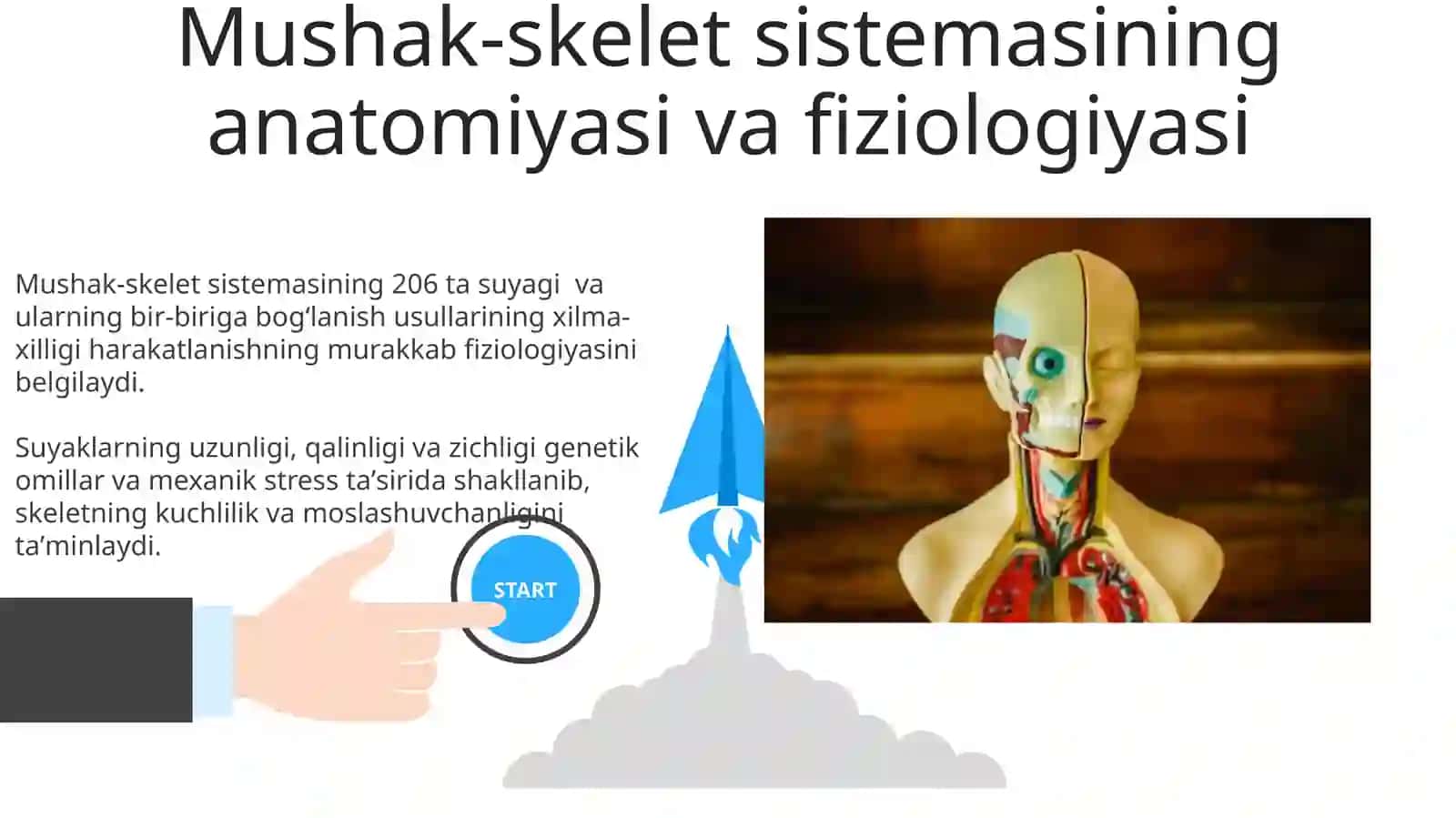 Azolar fiziologiyasi anatomiya faniga oid 3