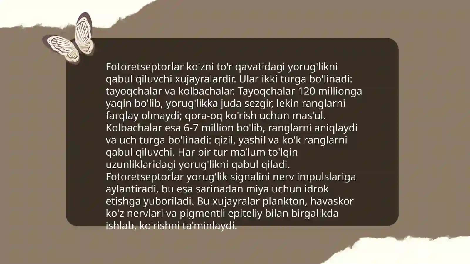 Fotoretsepsiyaning morfologik asoslari 3