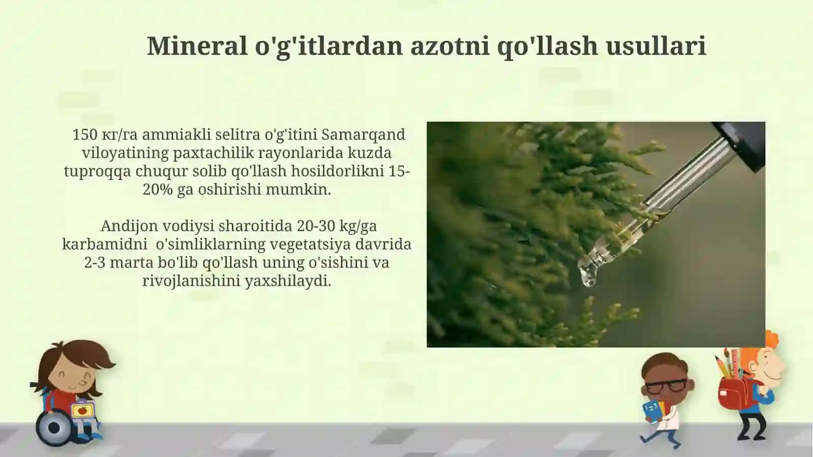 Azotning oʻsimliklar uchun ahamiyati 3